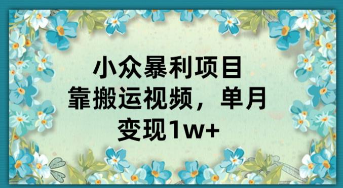 搬运视频就能月入过万？小众暴利项目揭秘！