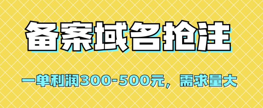 备案域名抢注，利润高达300-500元，需求量大，赚钱新机会