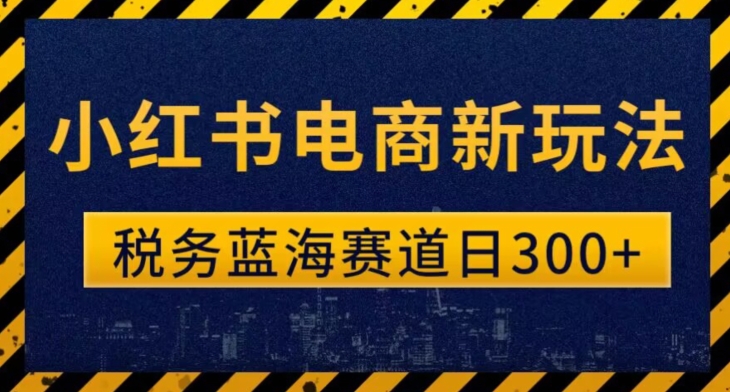 税务师小红书电商新玩法，知识变现轻松300+