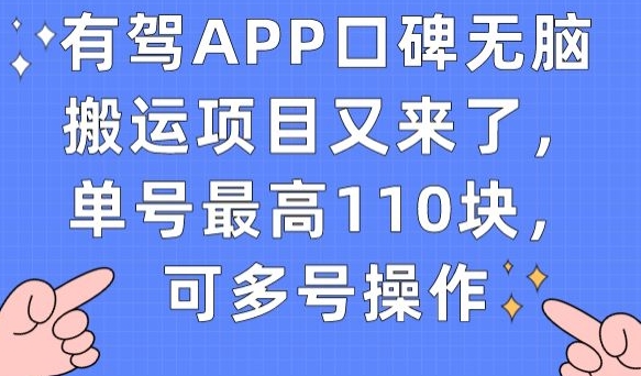 有驾APP口碑无脑搬运项目：单号最高110元，多号操作教程