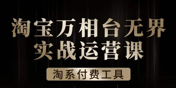 沧海·淘系万相台无界实战运营课：从入门到精通