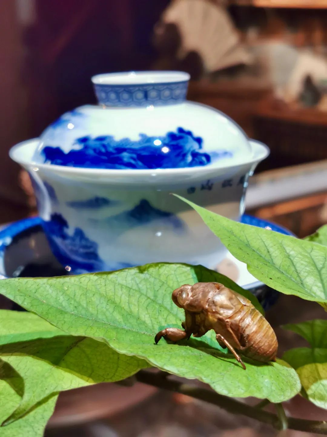 茶兀的意思_茶pai还是茶兀有啥寓意_茶兀是什么意思