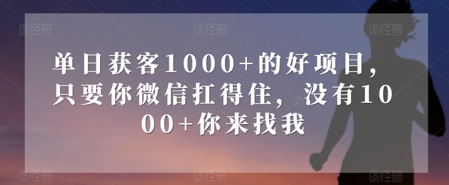 单日获客1000+的好项目，只要你微信扛得住，没有1000+你来找我【揭秘】