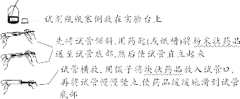 碳酸钙的相对分子质量_碳酸钙的相对分子质量_碳酸钙的相对分子质量