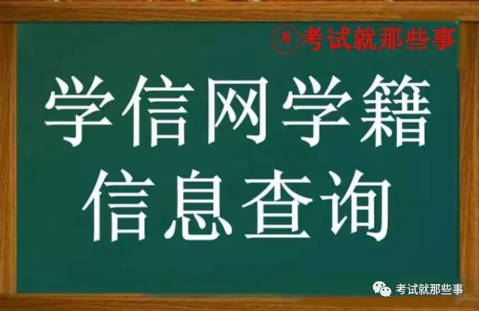 怎么查学历信息_学历信息查询结果在哪里查_学历查询出来是什么样