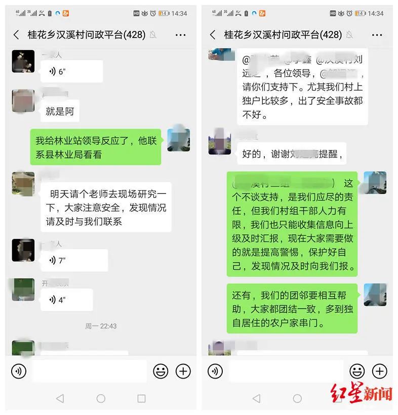 小狗的脚印像什么_小狗脚印像梅花_小狗脚印像什么