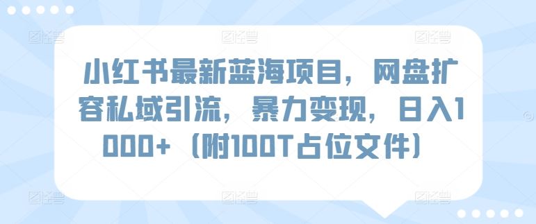 小红书最新蓝海项目，网盘扩容私域引流，暴力变现，日入1000+（附100T占位文件）【揭秘】