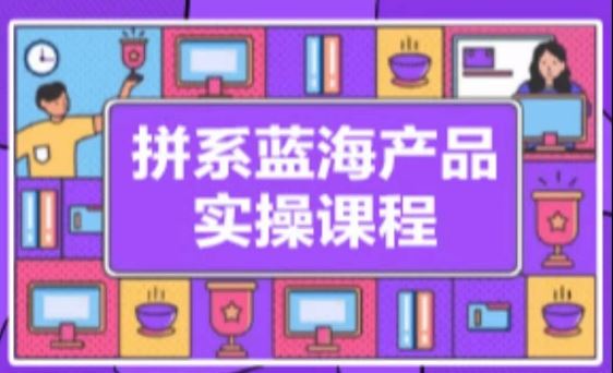 拼系冷门蓝海产品实操课程，从注册店铺到选品上架到流量维护环环相扣