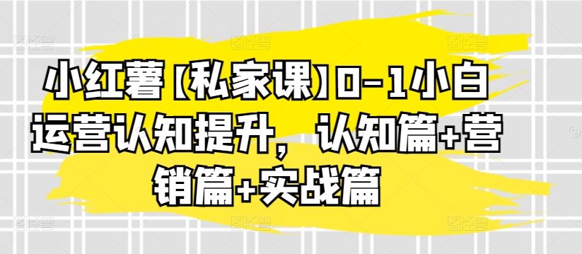 小红薯【私家课】0-1小白运营认知提升，认知篇+营销篇+实战篇