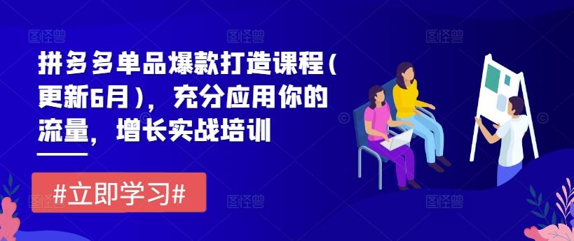 拼多多单品爆款打造课程(更新6月)，充分应用你的流量，增长实战培训