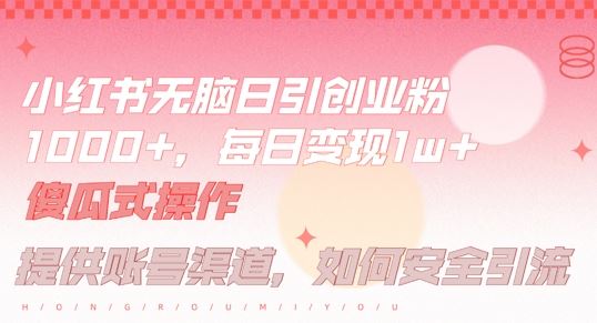 小红书无脑每日引流创业粉500+，小白每天只花半小时，躺赚长尾收益【揭秘】