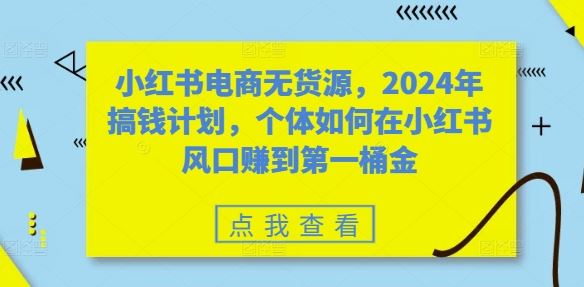 小红书电商无货源，2024年搞钱计划，个体如何在小红书风口赚到第一桶金