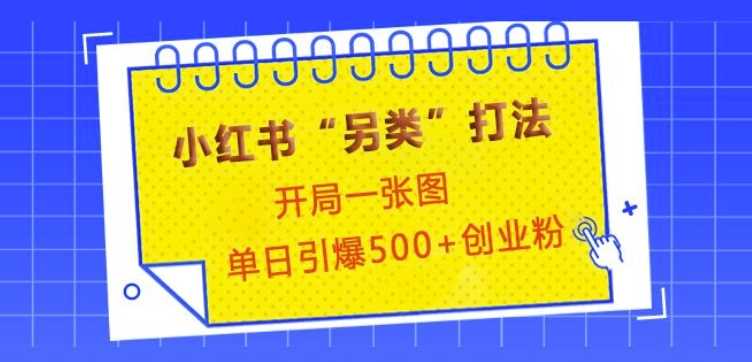 小红书“另类”打法，开局一张图，单日引爆500+精准创业粉【揭秘】